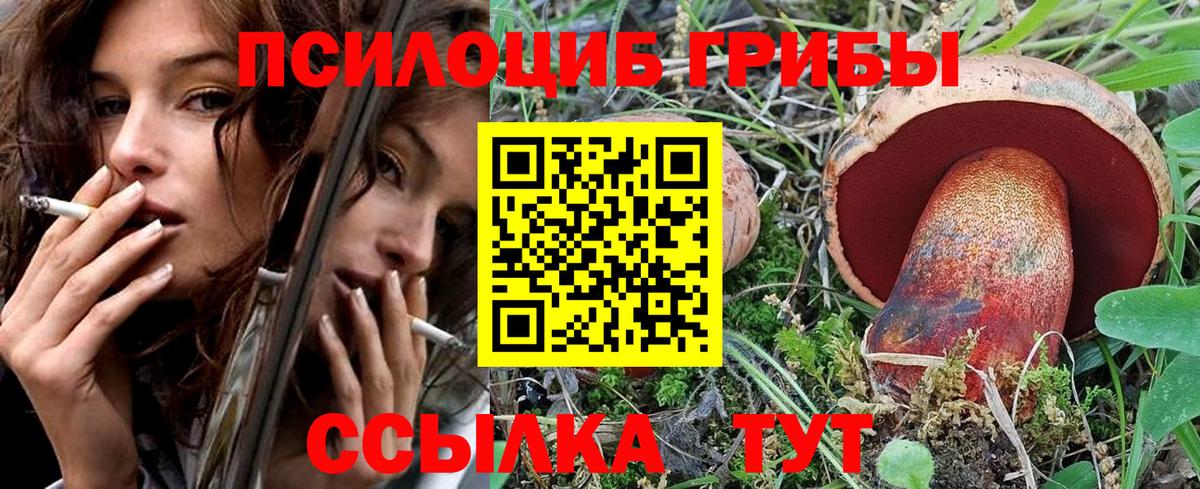 Кубинка  Галлюциногенные грибы прущие грибы  Галлюциногенные грибы мицелий  Вход с VPN 